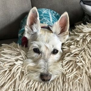 Meet your Posher, Kristina